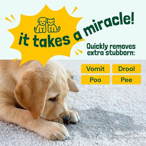 Sunny & Honey Pet Stain & Odor Miracle - Enzyme Cleaner for Dog Urine & Cat Pee - Pet Odor Eliminator for Carpet, Mattress, and Furniture (32 Fl Oz (Pack of 1), Light Lavender Scent) in Kuwait