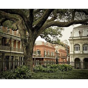 XTXGERL NEW ORLEANS CANERERY PISHER BY NUTURT