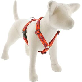 Lupine Extra Large Dold Tharness في 1 "Go Go Wide Go Gecko Design with 36-44" GIRTH