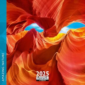 Aquarupella 2025 التقويم - تقويمات الجدار الشهرية - تقويم 12 شهرًا ، 12 "× 12" ، البوم