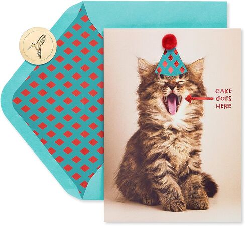 Papyrus Funny Cat Birthday Card (Indulge) in Saudi Arabia