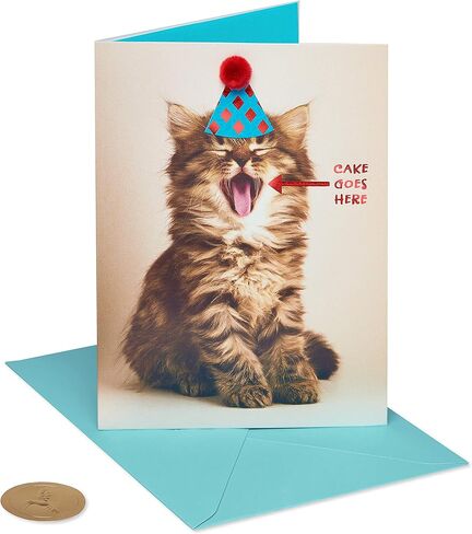 Papyrus Funny Cat Birthday Card (Indulge) in Saudi Arabia