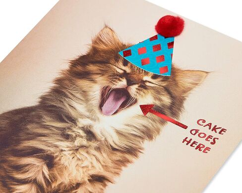 Papyrus Funny Cat Birthday Card (Indulge) in Saudi Arabia