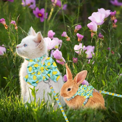 PAWCHIE Cat Harness and Leash Set with Bow Knot,Cats Escape Proof-Adjustable Daisy Floral Kitten Harness Soft Outdoor Walking Travel Pet Harness,Puppy Harness for Girl Cats Bunny Rabbit Small Dog,Blue in Saudi Arabia