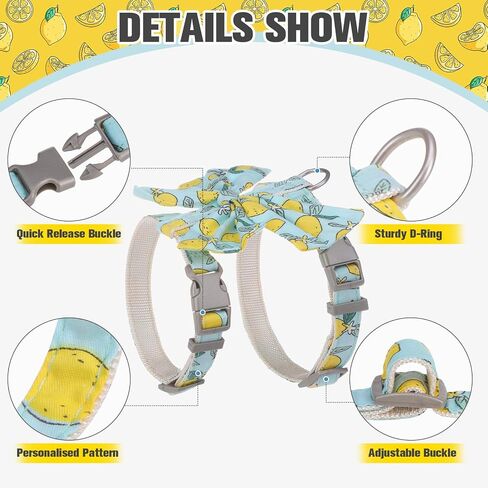 PAWCHIE Cat Harness and Leash Set with Bow Knot,Cats Escape Proof-Adjustable Daisy Floral Kitten Harness Soft Outdoor Walking Travel Pet Harness,Puppy Harness for Girl Cats Bunny Rabbit Small Dog,Blue in Saudi Arabia