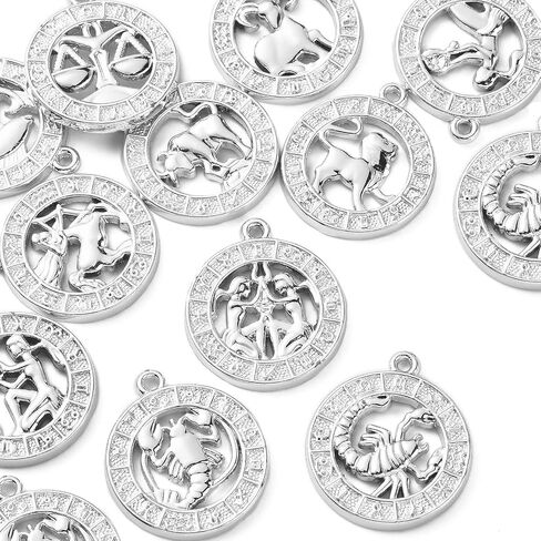 LiQunSweet 20 Pcs 304 Stainless Steel Pet Charms Kitten Cat Charms Stamping Blank Tag for Jewelry Making in Saudi Arabia