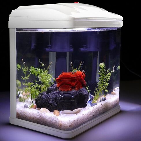 Small Fish Tank 2 Gallon Glass Aquarium Starter Kits,Betta Fish Tank with Filter and Plant Light for Betta Shrimp Guppy Jellyfish Goldfish Beta, Room Desktop Decor, Gifts in Saudi Arabia