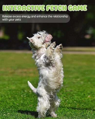 SCHITEC Dog Toys Squeaky, Interactive Animal Puppy Toy Pack, Cute Latex Rubber Squeak Pet Balls for Puppies Mini Small Breed Dogs in Kuwait