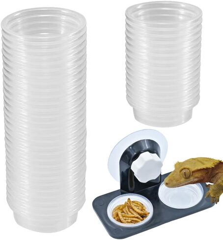 Crested Gecko Feeding Ledge [Non-Suction Cup], with 30 pcs 0.5oz Food Cups, Reptile Food Bowls and Water Dish for Lizard Or Other Small Pet Amphibian Feeder Ledge Accessories Supplies in Kuwait