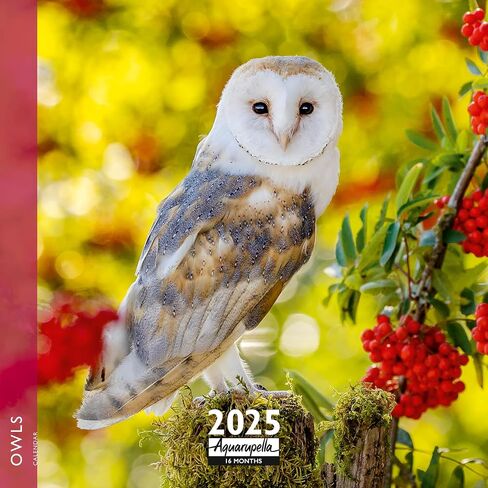 Aquarupella 2025 Calendar - Monthly Wall Calendars - 12-Month Calendar, 12" x 12", Owls in Saudi Arabia