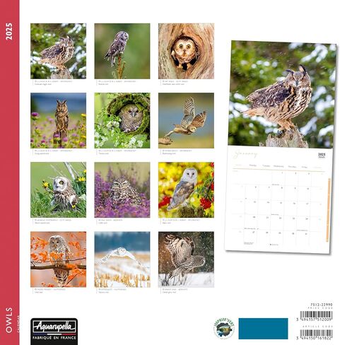 Aquarupella 2025 Calendar - Monthly Wall Calendars - 12-Month Calendar, 12" x 12", Owls in Saudi Arabia