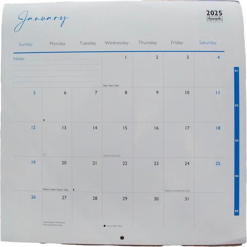 Aquarupella 2025 Calendar - Monthly Wall Calendars - 12-Month Calendar, 12" x 12", Owls in Saudi Arabia