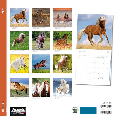 Aquarupella 2025 Calendar - Monthly Wall Calendars - 12-Month Calendar, 12" x 12", Owls in Saudi Arabia