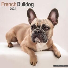 French Bulldog Calendar - Dog Breed Calendars - 2023 - 2024 wall calendars - 16 Month by Avonside