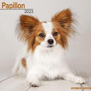 Papillon Calendar - Papillon Dog - Dog Breed Calendars - 2022 - 2023 wall calendars - 16 Month by Avonside
