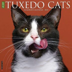 Willow Creek Press ، Tuxedo Cats 2025 Calendar