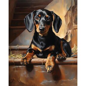 Zuvrdiai Dog Art Paint بأرقام للمبتدئين للبالغين ، dachshund على خطوات الحجر ، والحيوانات الأليفة الطلاء بواسطة مجموعات الأرقام على القماش ، 40x50 سم ، بدون إطار