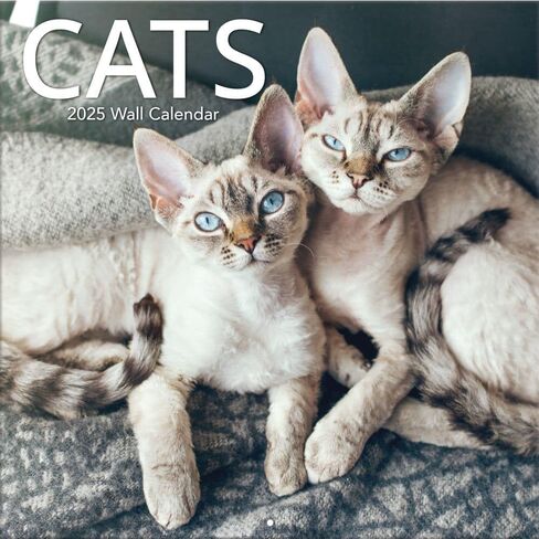 TURNER PHOTOGRAPHIC Cats 12x12 Photo Wall Calendar (25998940012) in Saudi Arabia