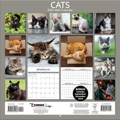TURNER PHOTOGRAPHIC Cats 12x12 Photo Wall Calendar (25998940012) in Saudi Arabia