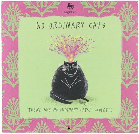 No Ordinary Cats 2025 Wall Calendar in Saudi Arabia