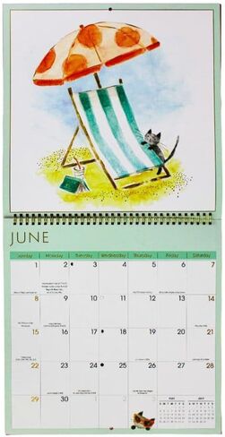 No Ordinary Cats 2025 Wall Calendar in Saudi Arabia