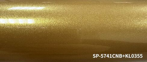 مسحوق مسحوق المسحوق | بني معدني | 1 رطل الطلاء مسحوق | طلاء مسحوق للمعادن | SP-81065CB in Saudi Arabia