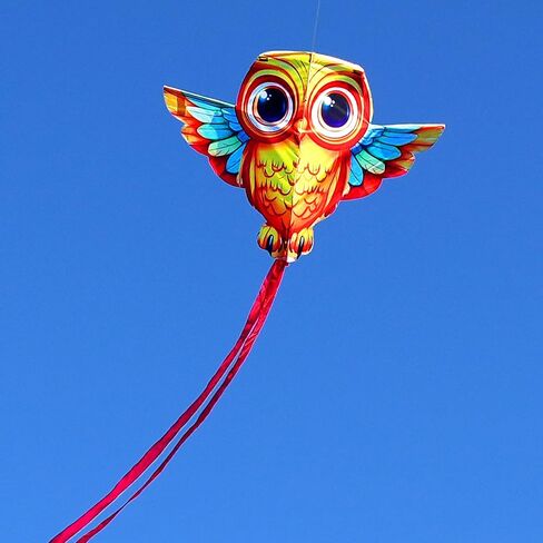 HENGDA KITE Animals Kite for Kids Beginners and Adults Cute Design High Definition Printing Easy to Carry in Kuwait