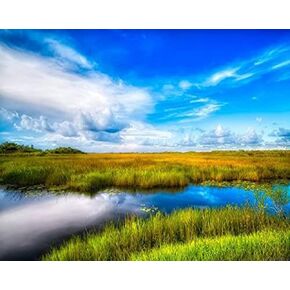 Zuvrdiai Everglades National Park Paint baster
