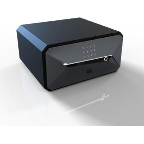 Fingerprint Smart Safe Box, Cabinet Safe Box, Security Box with Digital Virtual Password Touch Screen (1.45 Cubic Feet Grey)