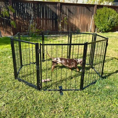 Freestanding Dog Gate Pet Gates Puppy Gate 23.6 Inches Height Step Over Pet Fence, Free Standing Dog Gate Indoor Outdoor Expands Up to 80 Inches Doggie Gates Small Dog Gates for Doorways Stairs in Saudi Arabia