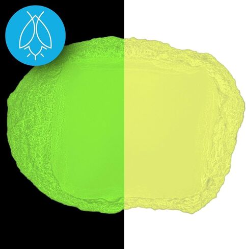 Glow in The Dark Pigment Powder - Neutral and Fluorescent Color for Art Painting, Fine Art, Nail Art Paint, and DIY Crafts - Long Lasting, 10+ Color Options - Fluorescent Purple - (60 Grams) in Saudi Arabia