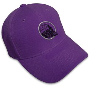 Custom Baseball Cap Train Embroidery Trains Acrylic Dad Hats for Men & Women