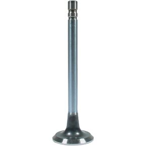 BR81021 Exhaust Valve