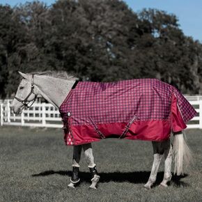 Equinavia Arktis Regular Neck Turnout Sheet - Carbon Gray - 78 in