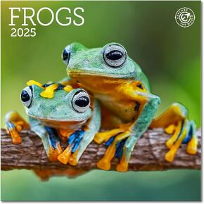Frogs Mini Wall Calendar 2025, 7" x 7"