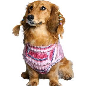 Blueberry Pet Dog Sweater, Award-Winning Brand, Christmas Sweater for Dogs, Knit, Soft & Warm, Gradient Effect, Best for Small Dogs, 18" Back Length, Machine Washable in Kuwait