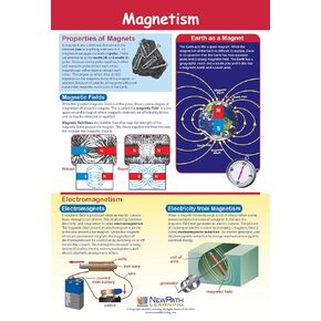 NewPath Magnetism Poster - Laminated, Full-Color, 23" x 35" (34-6803)