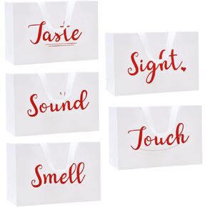 TQQBUU 12.6" Five Senses Gift Bags for Him or Her with Ribbon Handles - Sight Smell Touch Taste Sound Gift Bags (White, 12.6"x 8.7"x 4)