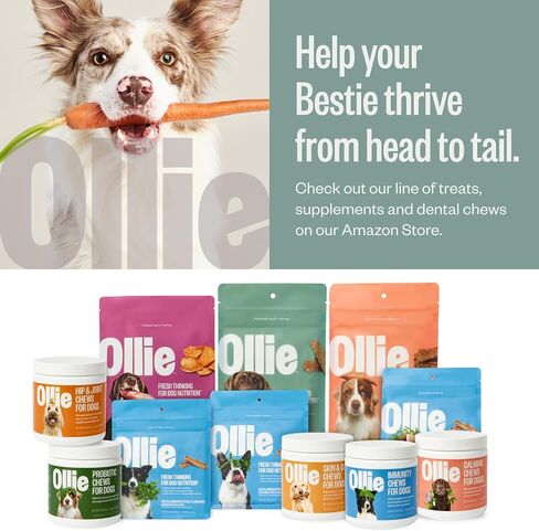 Ollie Beef & Sweet Potato Jerky Dog Treats, 5 oz Pack of 1, All Natural, Healthy Snacks, Made with Real Meat, Human Grade, for Dogs in Kuwait