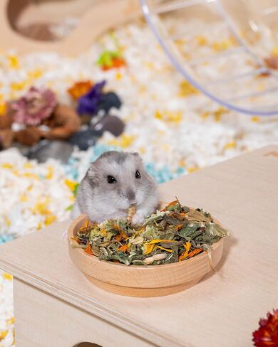 Niteangel Hamster Food & Treats Toy - Small Animal Natural Food for Syrian Golden Hamsters or Other Small-Sized Pets in Kuwait