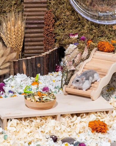 Niteangel Hamster Food & Treats Toy - Small Animal Natural Food for Syrian Golden Hamsters or Other Small-Sized Pets in Kuwait