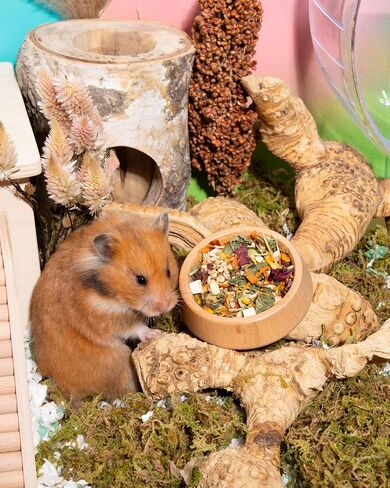 Niteangel Hamster Food & Treats Toy - Small Animal Natural Food for Syrian Golden Hamsters or Other Small-Sized Pets in Kuwait