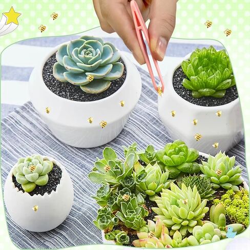 200PCS Resin Turtle for Crafts Dollhouse Miniatures Resin Mini Things Tiny Turtle for Fairy Garden Dollhouse Micro Landscaping Decoration in Saudi Arabia