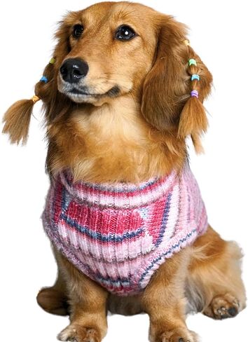 Blueberry Pet Dog Sweater, Award-Winning Brand, Christmas Sweater for Dogs, Knit, Soft & Warm, Gradient Effect, Best for Small Dogs, 18" Back Length, Machine Washable in Kuwait