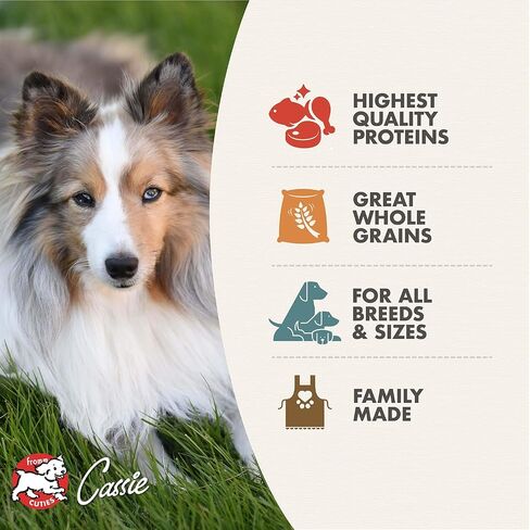 Fromm Adult Gold Premium Dry Dog Food - Chicken Recipe - 30 lb in Kuwait