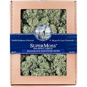 Supermoss Renindeer المحفوظة مدخلات زخرفية زخرفية طويلة محفوظة