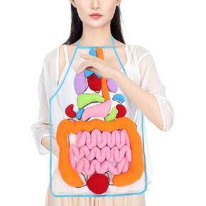 POPETPOP 3D Organ Apron, Anatomy and Physiology Human Body Apron Educational Tool Toy for Kids, Removable Plush Stuffed Viscera Model for Home Preschool Early Childhood Teaching Aid