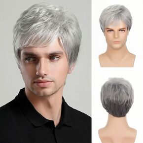 Grey Short Wigs for Men Natural Layered Synthetic Hair Cosplay Halloween Costume Wigs for Male Guy