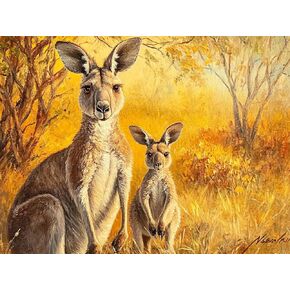 LOMSIOY DIY 5D Diamond Art Kits للبالغين ، مجموعات اللوحات الماس Kangaroo للمبتدئين ، فن Animal Diamond With Round Full Drill Rhinestone Gem Gem Arts for Home Wall Decor