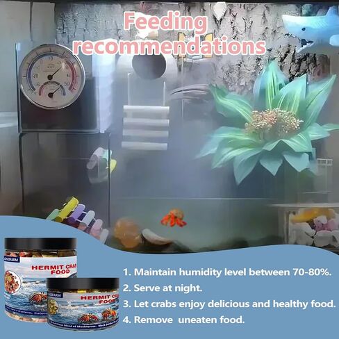 JADINGSFARM Fruity Buffet Blend Diet, 4.4 oz Food for Hermit Crabs, All Natural Hermit Crab Food, Hermit Crab Treats, High Protein & Nutrient Blend Diet of Oats, Blueberries, Strawberry, Banana, Sprouted Seeds Mix for Hermit Crabs. in Kuwait